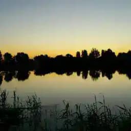 Подробности Profile