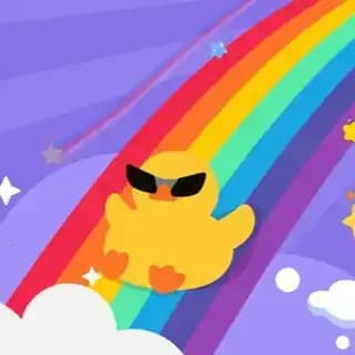 DuckBridge_Stake Profile