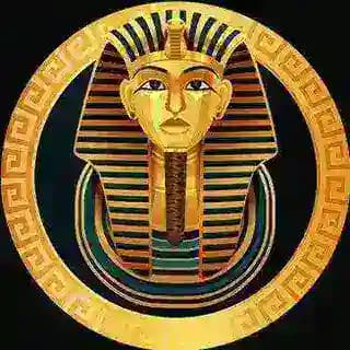 Cairo Airdrop 🏆 Profile