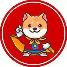 ChampionDoge Airdrop Round 2 Profile