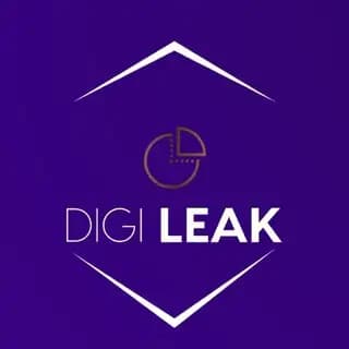 Digi Leak | Crypto & Forex Leaks Profile