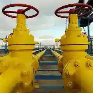 Газовый бот Profile