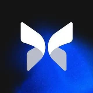 Morpho Airdrop Bot Profile