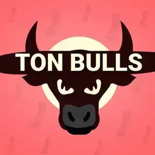 TON Bulls Game Profile