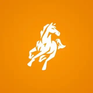 White Horse Payment Profile