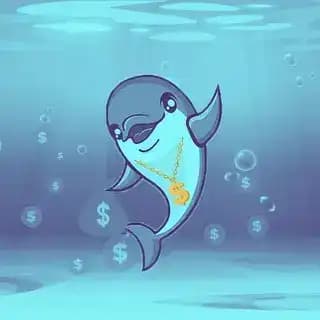 Dolphin Dollars Profile