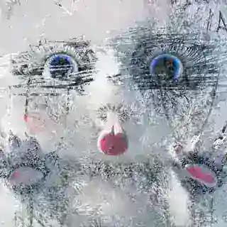 Разморозь Фрайди! Profile