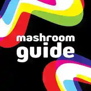 Mash Room Guide Profile
