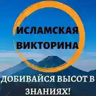 Robot_musulmanin Profile