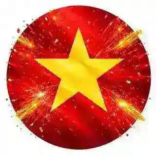 Cài Tiếng Việt Telegram🇻🇳 Profile