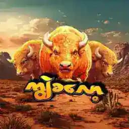 စလော့ဂိမ်း - ရုံးချုပ် Profile