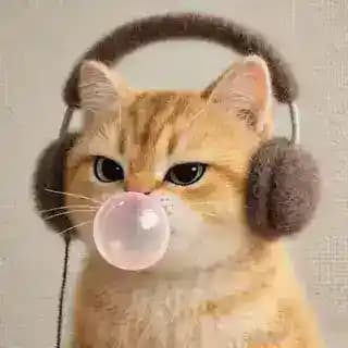 Music Downloader Profile
