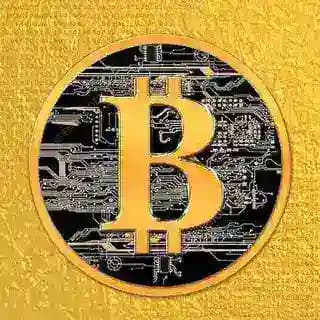 Free Bitcoin Claim 🎁 Profile