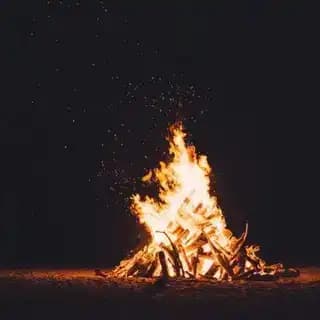 بوت التواصل 🌝 Profile