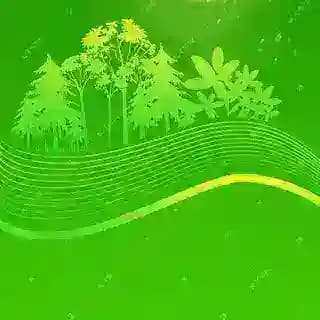 广州紫瑶宫管理员 Profile