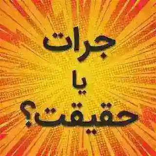 بازی جرعت حقیقت 🧩 Profile