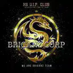 MPPS BRIGANZ CORP Profile