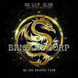 MPPS BRIGANZ CORP Profile