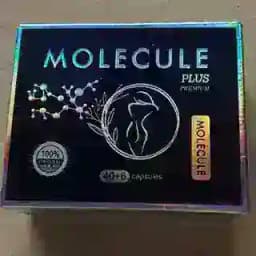 Molekula Profile