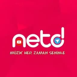 Netd Music Bot 🎧 Profile