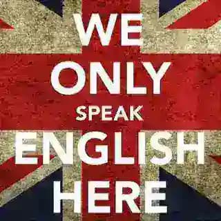 No Chinese Bot Profile