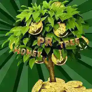 PR MONEY TREE Profile