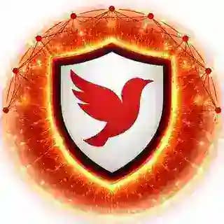 RahanetVPN 🕊 Profile