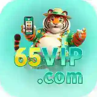 65VIP Servico Profile