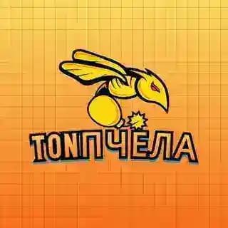 🐝 TONПчела — собирай мёд каждый день! Profile