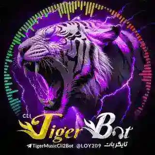 𓄂ꪴꪰ𝐓𝐈𝐆𝐄𝐑 2 رایگان 𓆃موزیک پلیر Profile