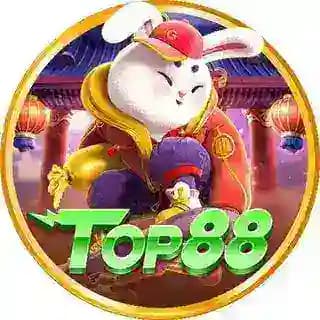 Top88.com Profile