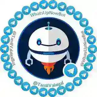 What's Up Now 🤖 Profile