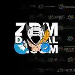 ZDM DIGITAL PRIME Profile