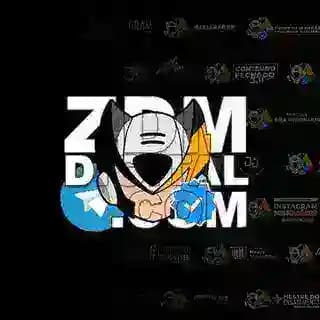 ZDM DIGITAL PRIME Profile