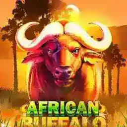 African Buffalo ကျွဲဂိမ်းအစ် Profile