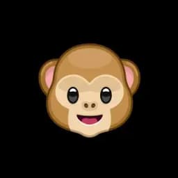 Monkeys 🐒 Profile