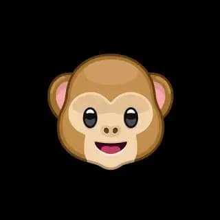 Monkeys 🐒 Profile