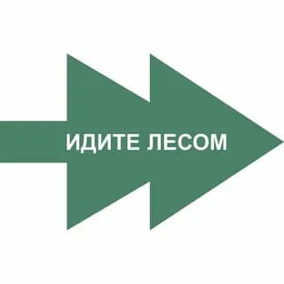 Сбор макулатуры Идите лесом Profile