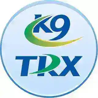0.5TRX转U能量K9trxuu号机器人（正常运营） Profile