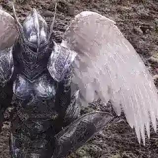 Your nymph moth Profile