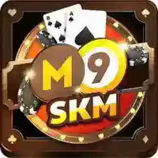 မူရင်း M9 ရှမ်းကိုးမီး Profile