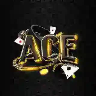 ACEMM AUTO Profile