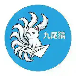 九尾猫机器人 Profile