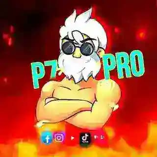 P7 Pro Profile