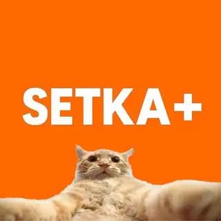 Вступити SETKA+ Profile