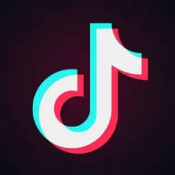 TikTok Downloader Profile