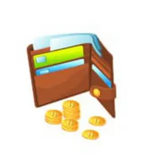 TESLA wallet Profile