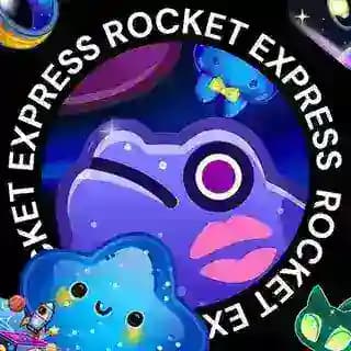 Rocket Express Profile