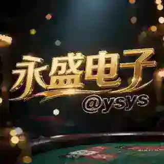 永盛电子 Profile