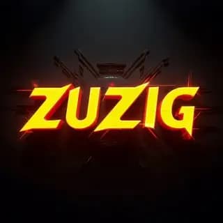 ZUZIG - PUBG CHITLAR CHUSTVIT Profile